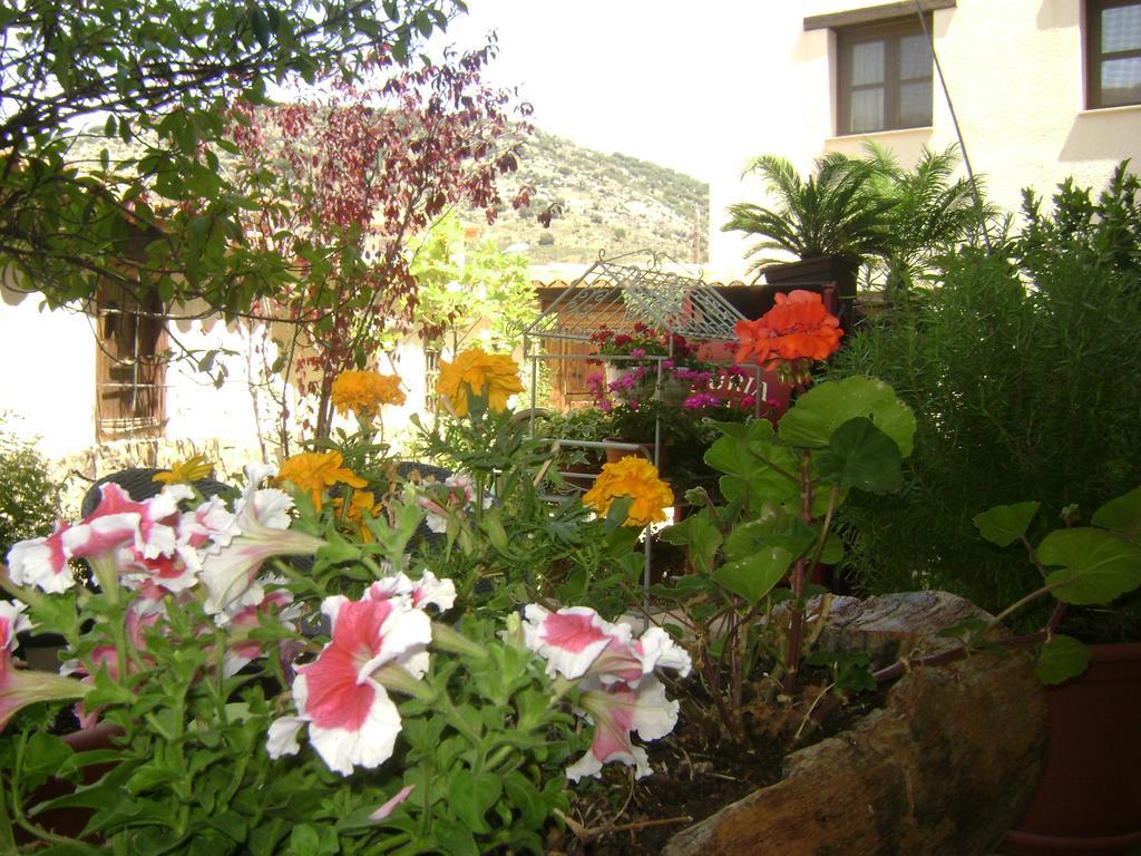 Apartamentos Rurales La Muralla II Canete  ภายนอก รูปภาพ